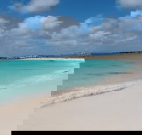 Pink Lake and Abrolhos Full Day Fly and Flipper - Gold Coast Attractions