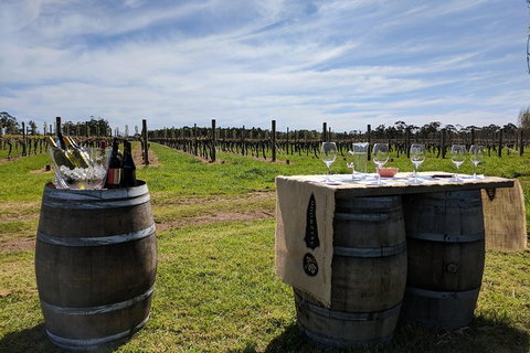 Margaret River Small-Group Full-Day Wine & Food Tour - Gold Coast Attractions 4