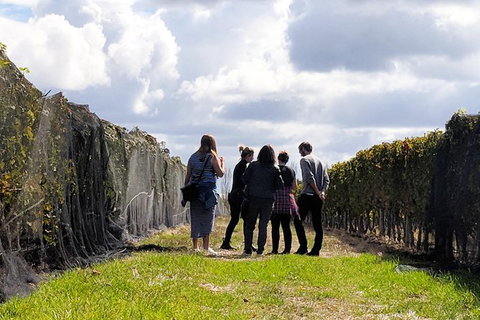 Margaret River Small-Group Full-Day Wine & Food Tour - Gold Coast Attractions 5