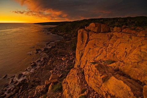 Margaret River Indulge And Discover Day Tour - Gold Coast Attractions 13