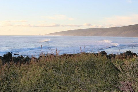 Margaret River Indulge And Discover Day Tour - Gold Coast Attractions 6