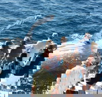 Half-Day Whale Watching Sunset Cruise from Broome - Gold Coast Attractions