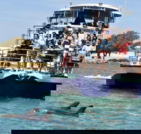 Mandurah Dolphin and Scenic Marine Cruise - Gold Coast Attractions