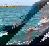 Mandurah Dolphin Island Adventure - Gold Coast Attractions