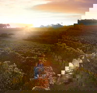 Leeuwin Estate Food and Wine Experience - Gold Coast Attractions