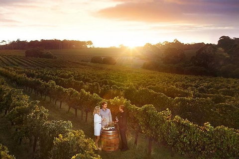 Leeuwin Estate: Food And Wine Experience - Gold Coast Attractions 0