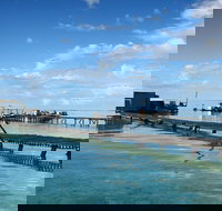 Full Day Guided Abrolhos Fly and Flipper Tour from Geraldton - Gold Coast Attractions