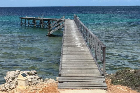 Abrolhos Flyover With Morning Tea On East Wallaby Island - Gold Coast Attractions 1