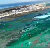 Abrolhos Flyover with Morning Tea on East Wallaby Island - Gold Coast Attractions