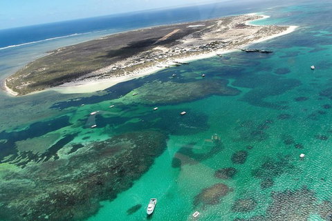 Abrolhos Flyover With Morning Tea On East Wallaby Island - Gold Coast Attractions 0