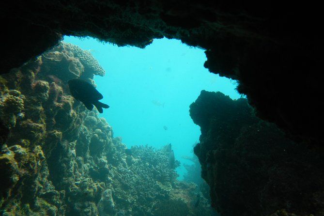 Bluff Point WA Gold Coast Attractions