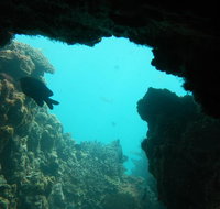 Half-Day Abrolhos Islands Shipwreck Air and Land Tour from Geraldton - Gold Coast Attractions