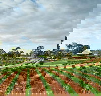 Vasse Felix Winery Tour and Tasting - Gold Coast Attractions