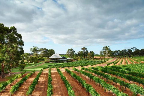 Vasse Felix Winery Tour And Tasting - Gold Coast Attractions 2