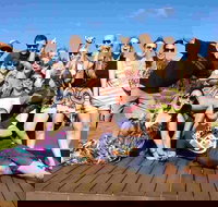 Margies Big Day Out Beer  Wine Tours - Gold Coast Attractions