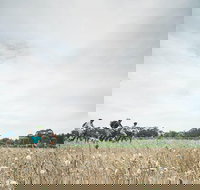 Electric Bike Winery and Brewery Tour - Gold Coast Attractions