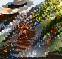 7 Hour Full Day Tour Morning Tea Chocolate Olives 3 Wineries  Lunch - Gold Coast Attractions