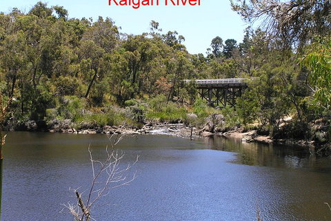 Kalgan Queen Scenic Cruises A Four Hour Sheltered Water Wildlife Tour Daily Fun. - Gold Coast Attractions 3