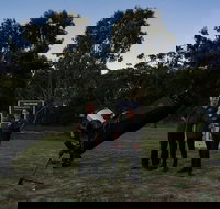 Dusk to Dawn Astronomy Margaret River - Gold Coast Attractions