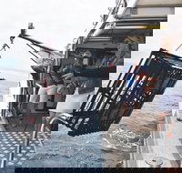 Rottnest Island Wild Seafood Package from Perth with Transfer - Gold Coast Attractions