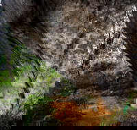 Porongurup Nature  History Eco Tour - Gold Coast Attractions