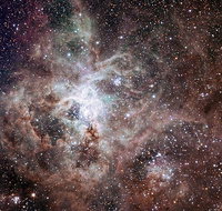 Overnight Astronomy Experience Ningaloo - Yardie Homestead - Gold Coast Attractions