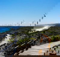 Torndirrup National Park and Bay Highlights - Gold Coast Attractions