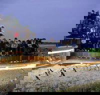 1 Day Private Phillip Island Tour VIP Charter up to 9 People - Gold Coast Attractions