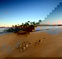 Phillip Island Ultimate Penguin Eco Tour or Skybox Experience - Gold Coast Attractions