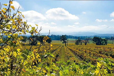 Alternative Yarra Valley Wine Tasting Tour Departing From Melbourne - Gold Coast Attractions 4