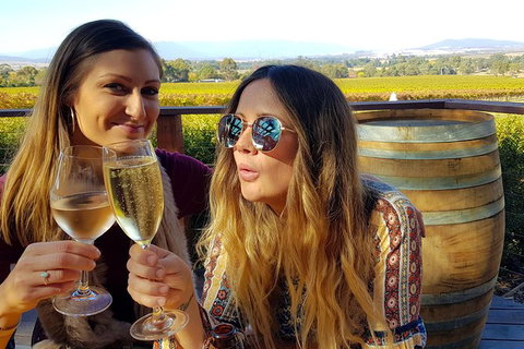 Alternative Yarra Valley Wine Tasting Tour Departing From Melbourne - Gold Coast Attractions 5