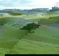 Day Tour of Phillip Island  Surrounding Region - Gold Coast Attractions