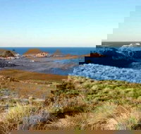 Phillip Island Walking  Bird Watching Tour - Gold Coast Attractions