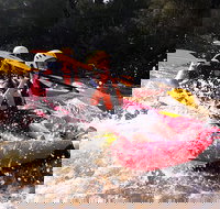 Whitewater Sports rafting on the Yarra river