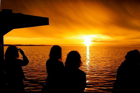 Phillip Island Twilight Cruise - Gold Coast Attractions 1