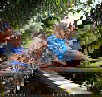 Phillip Island 3 Park Pass Penguin Parade Koala Conservation Centre and Penguin Parade Koala ConservationHeritage Farm - Gold Coast Attractions