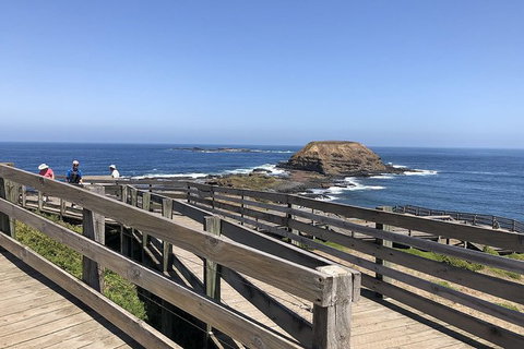 Day Tour Of Phillip Island, The Surrounding Region And Wine Tasting - Gold Coast Attractions 14