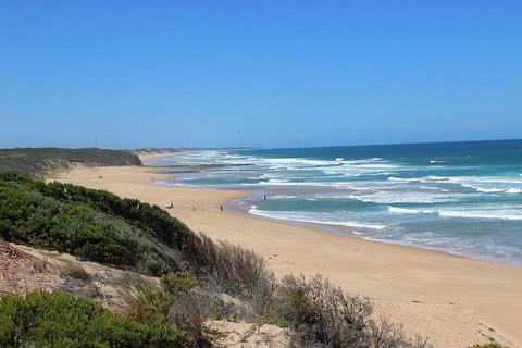 Day Tour Of Phillip Island, The Surrounding Region And Wine Tasting - Gold Coast Attractions 5