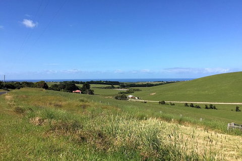 Day Tour Of Phillip Island, The Surrounding Region And Wine Tasting - Gold Coast Attractions 6