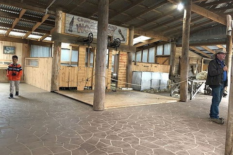 Day Tour Of Phillip Island, The Surrounding Region And Wine Tasting - Gold Coast Attractions 8