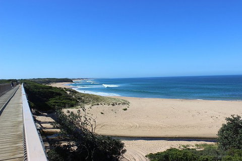 Day Tour Of Phillip Island, The Surrounding Region And Wine Tasting - Gold Coast Attractions 4