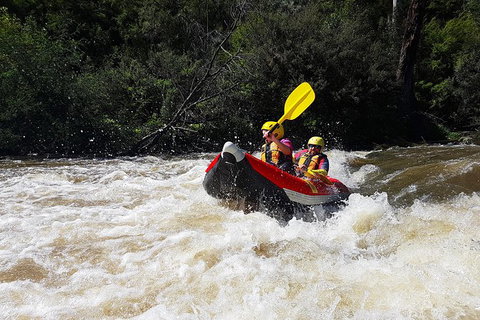 White-Water Kayaking On The Yarra River - Gold Coast Attractions 1