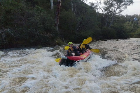 White-Water Kayaking On The Yarra River - Gold Coast Attractions 5