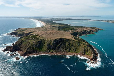 Phillip Island Helicopter Tour - Gold Coast Attractions 7