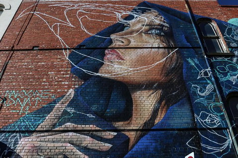 Fitzroy Street Art Tour - Gold Coast Attractions 0