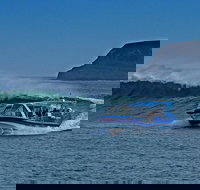 Phillip Island Wildlife Cruise with Optional Penguin Parade and 3 Park Pass - Gold Coast Attractions