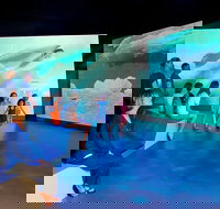 Phillip Island Antarctic Journey Entry ticket - Gold Coast Attractions