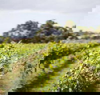 Phillip Island Wine Experience Tour - Gold Coast Attractions