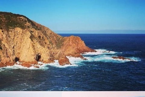 Half Day Phillip Island Woolamai Walking Tour - Gold Coast Attractions 1