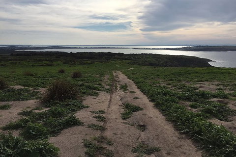 Half Day Phillip Island Woolamai Walking Tour - Gold Coast Attractions 8